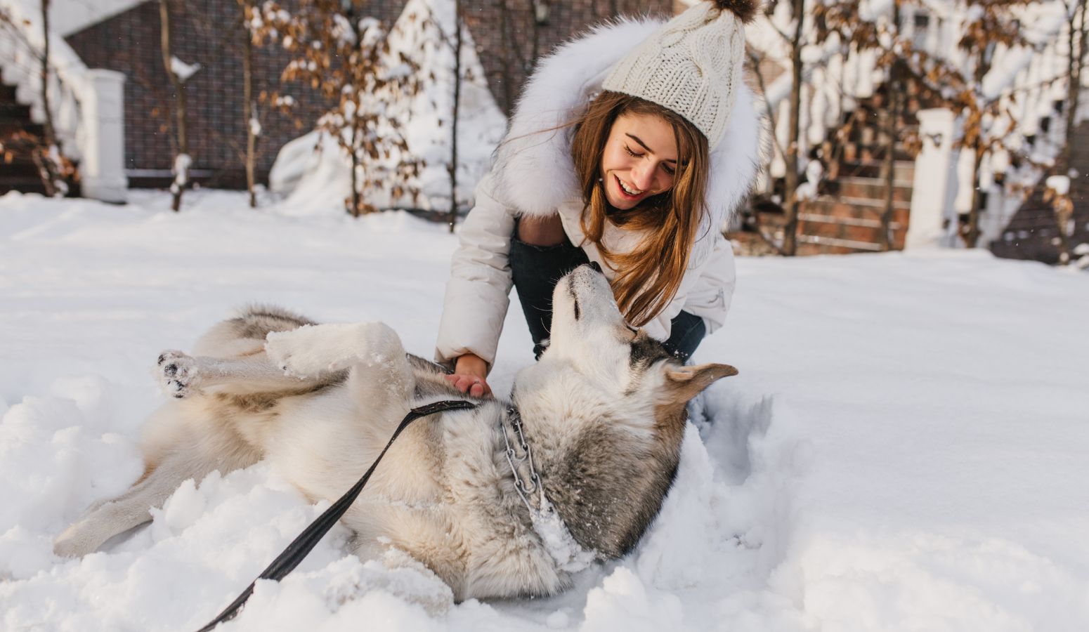 laponia levi pre puente diciembre 2026 finlandia 